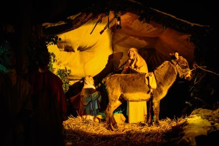 Predstava Božična noč pri Ivanovem izviru, sezona 2014-2015 51